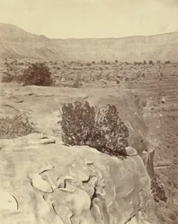 Platået, nord for Grand Canyon