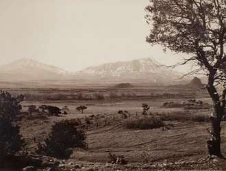 De spanske toppene, ca. 1871.