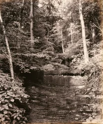 Owasco Lake, Cascade Glen, for Lehigh Valley Railroad