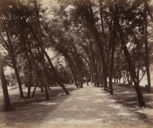 Piknikplass