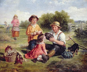 Høyfelt