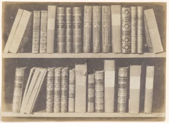 A Scene in a Library, plate VIII fra Pencil of Nature