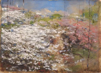 Blomsterfelt