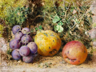 Black Grapes, Quince og Newtown Pippin, 1861 (wc på kort)
