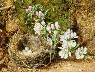 Gren av Apple Blossom og Bird