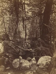 Stien i West Gallatin Cañon, ca. 1870-årene.