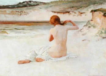 Akt på en strand