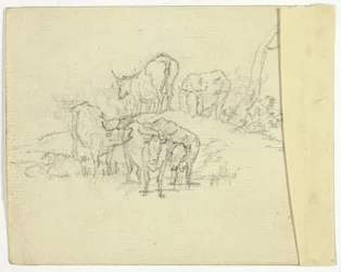Storfe (recto); The Charlatan (verso)
