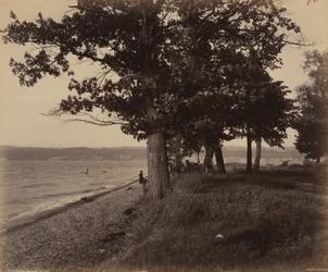 Cayuga-sjøen, Sheldrake, ca. 1895 (bilde)