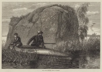 Wild Duck Shooting, gravering vest for Irland