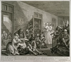 Plate VIII fra A Rake