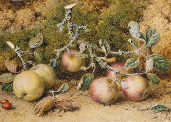 Stilleben med epler, hasselnøtter og nyper,