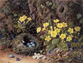 Stilleben med et fuglerede, primula og fioler (blyant og akvarell)