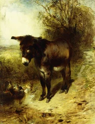 En brun studie, 1853