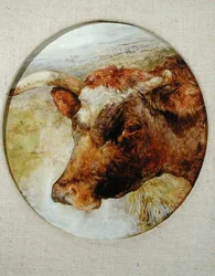 Leder for en Longhorn-ku