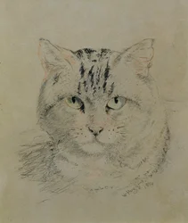 Tabby Cat, 1874 (blyant, fargestift og kull på papir)
