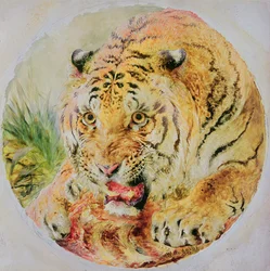 Tigerens hode
