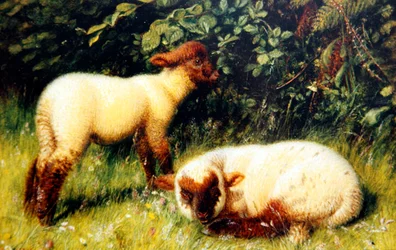 Sau, ca. 1860 (olje om bord)