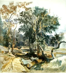 A Woodland Track (blyant og akvarell på papir)