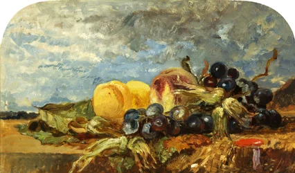 Fruktstykke