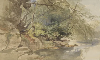 Ansikt i Stapleton Wood, nær Bristol