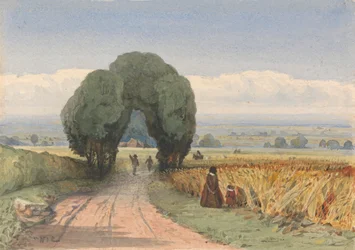 Gloucestershire - en kvinne og et barn på en vei som grenser til åkre med moden mais ved Moreton-in-Marsh