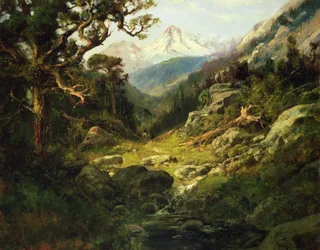 Landskap med Shasta-fjellet