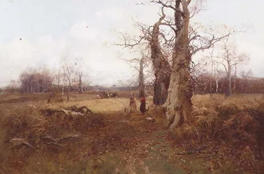 Høstlandskap