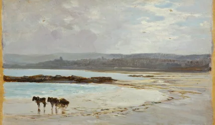 Strand ved lavvann: Kveld