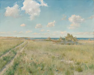 Den gamle veien til havet, ca. 1893.
