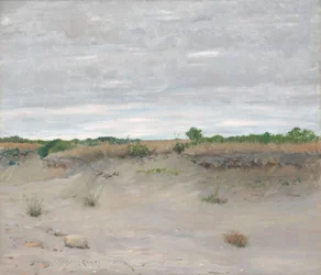 Vindblåste sand