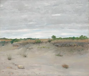 Vindblåste sand, 1894.
