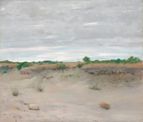 Vindavvisende sandstrand