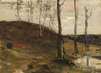 Åsside med trær, 187278.
