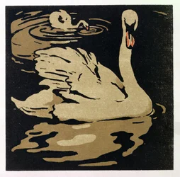 The Beautiful Swan, illustrasjon fra 