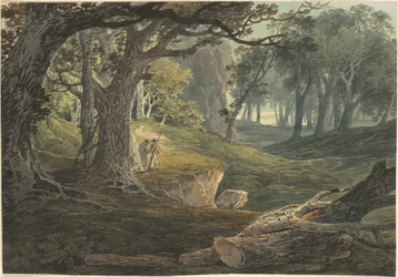 Reisende i en Woodland Glade