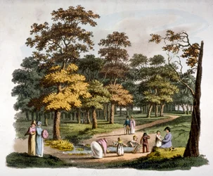 Utsikt over "dyppe"-brønnen i Hyde Park, Westminster, London, c1810