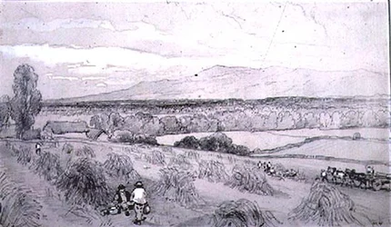 Innhøstingsscene