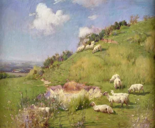 Sheep on a Hill Side (olje på lerret)