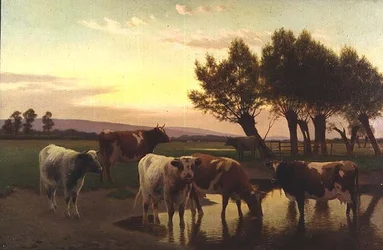 Kveld nær Amberley