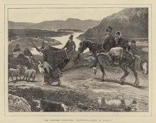 Det vestlige høylandet, Connemara, går til markedet