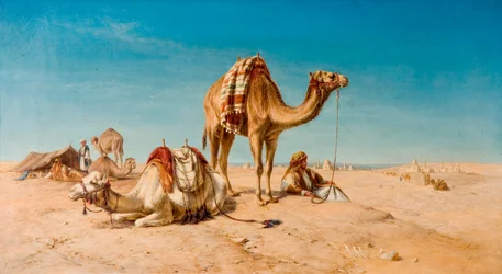 Et stopp i ørkenen, 1867