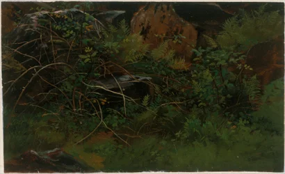 Studie fra naturen