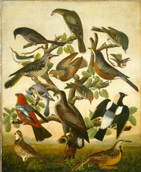 Fugler, ca. 1840 (olje på lerret)