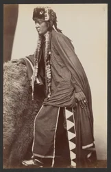 Arapaho Modig Shib-o-nester