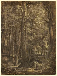 Tegning, I skogen, studie til maleri, June Woods, New York Historical Society, utlånt fra New York Public Library, 1864