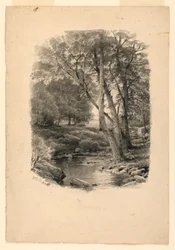 Tegning, Svømmebasseng i skogen, 1874