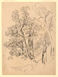 Studie av løvverk, Trachselwald, Bern, Sveits