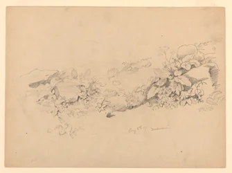 Studie av løvverk, Trachselwald, Bern, Sveits