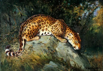 A Leopard Crouching on a Rock (olje på lerret lagt om bord)